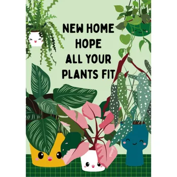 Pohled Plants new home, 1 ks