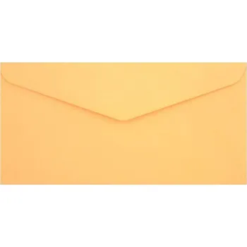 Obálka Obálka DL lososová 190522 P