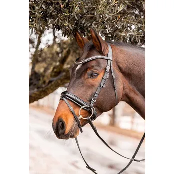 Čelenka Horze Wicklow Zlatá PONY