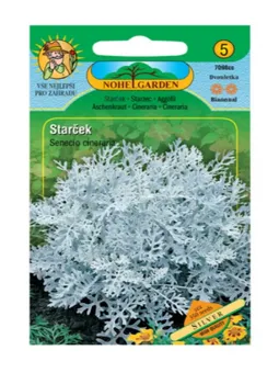 Semeno Nohel Garden Starček přímořský stříbrný 350 ks