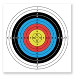 inSPORTline Dabbak papírové terče 60 x…