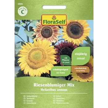 Semeno Slunečnice s obřími květy FloraSelf směs