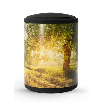 Smuteční dekorace Ekologická urna Ventura - Les II