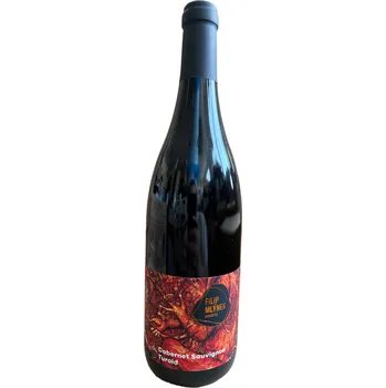 Víno Vinařství Filip Mlýnek Cabernet Sauvignon 2022 výběr z hroznů 0,75 l