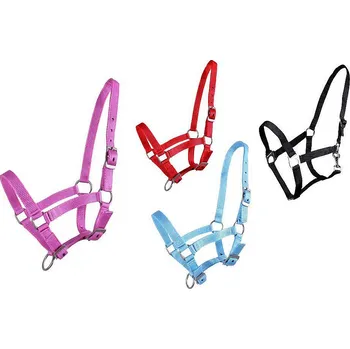 Hříběcí ohlávka QHP nylonová světle modrá - vel. 01