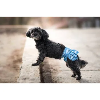 kalhotky pro psa Nataša hárací kalhotky pro psa - vsepropejska.cz Barva: Tmavě-modrá, Obvod slabin (cm): 28 - 41