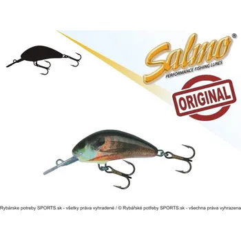 Umělá nástraha Wobler SALMO Hornet H5S barva RS - potápivý