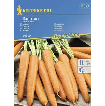 Zahrada Mrkev Kamaran F1 Kiepenkerl