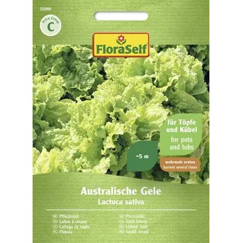 Semeno Salát listový Australische Gele FloraSelf