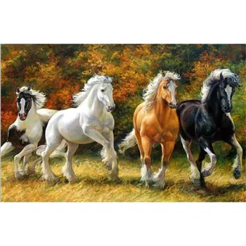 Diamantové malování Diamantové obrázky 30x40cm koně u lesa
