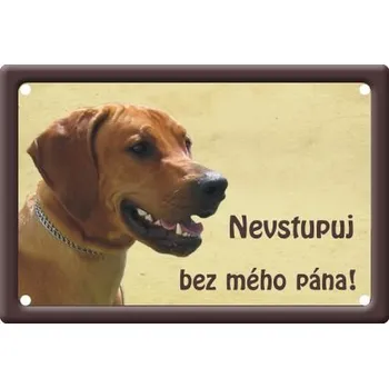 Plechová cedule Plechová psí cedule - Rhodéský ridgebak II.