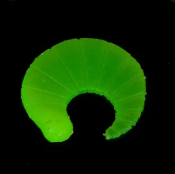 Umělá nástraha Iron Trout gumová nástraha Coda vzor GR 2,5 cm 6 ks