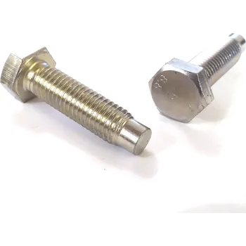 Lešení Šroub lešenářský M12x45 pozink 100ks