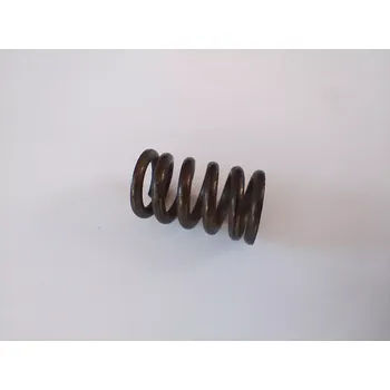 Motor pro motocykl Pružina spojky - Jawa 50/550 pařez a Jawa 50/555