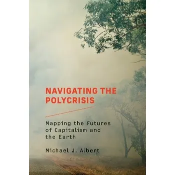 Cizojazyčná kniha Navigating the Polycrisis - Albert, Michael J.