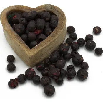 Sušené ovoce FITBOY Rybíz černý lyofilizovaný 100g 100g