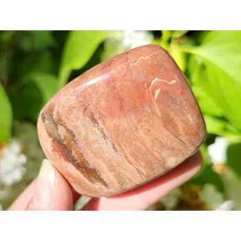 Přírodní kámen Zkamenělé dřevo hladký kámen z Madagaskaru 104g