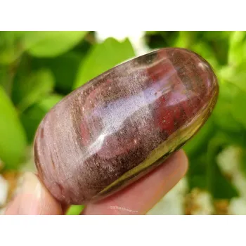 Sběratelství Zkamenělé dřevo hladký kámen z Madagaskaru 81g