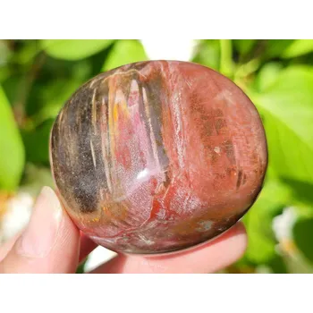 Přírodní kámen Zkamenělé dřevo hladký kámen z Madagaskaru 114g