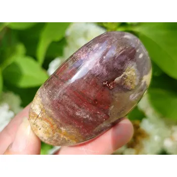 Přírodní kámen Zkamenělé dřevo hladký kámen z Madagaskaru (91g)