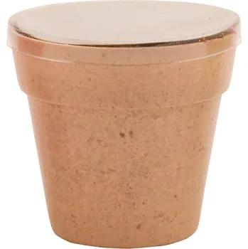 Květináč Petunia květináč se semínky petunie