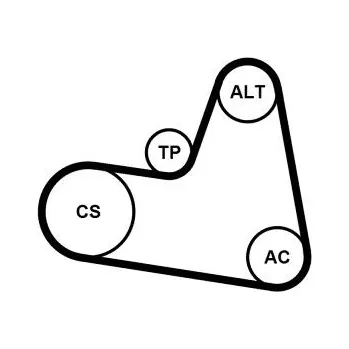 Sada žebrovaných klínových řemenů CONTINENTAL CTAM 6PK962K1