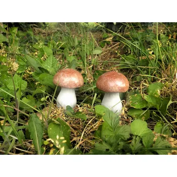 Zahradní dekorace Prodex Import Hříbek do zahrady malý