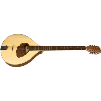 GEWA Irská Bouzouki Pro Natura Silver 3112