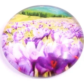 Korálek Kabošon č.1053 - 25 mm