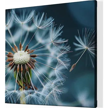 Obraz Obraz na plátně - Chmýří pampelišek FeelHappy.cz Velikost obrazu (šířka x výška): 120 x 120 cm