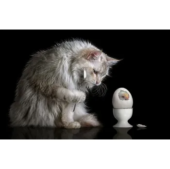 Plakát Plakát, Obraz - Hello World, Marcel Egger