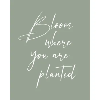 Plakát Plakát, Obraz - Bloom, Beth Cai