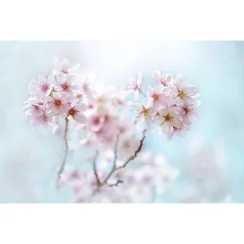 Plakát Plakát, Obraz - Yoshino, Jacky Parker