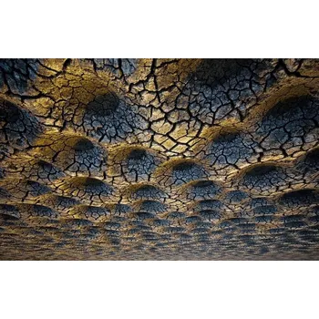 Plakát Plakát, Obraz - Flue Wonderland, Miki Meir Levi