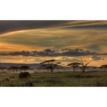 Plakát Plakát, Obraz - Africa, Amnon Eichelberg