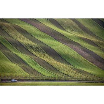 Plakát Plakát, Obraz - Stripes in the fields, Peter Svoboda MQEP
