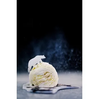 Plakát Plakát, Obraz - Polar Bear (Powdered Sugar), Dina Belenko