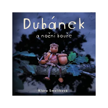 Dubánek a noční bouře MP3 download