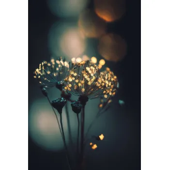 Plakát Plakát, Obraz - Glowing Dots, Treechild