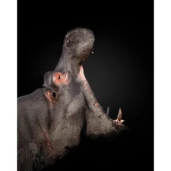 Plakát Plakát, Obraz - Eat the World, fegari