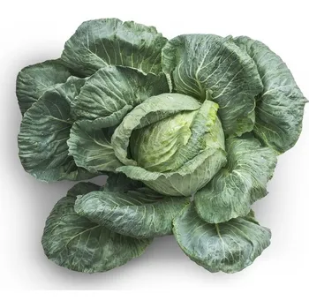 Plakát Plakát, Obraz - Green Vegetable, 1x