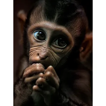 Plakát Plakát, Obraz - Please, Prabu Dennaga