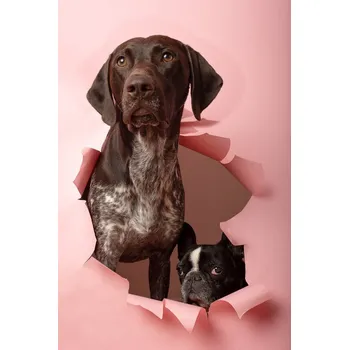 Plakát Plakát, Obraz - the gang, Raluca Arhire