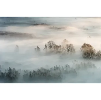 Plakát Plakát, Obraz - Winter fog, Marco Galimberti