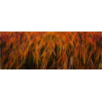 Plakát Plakát, Obraz - fire fields, Piotr Krol (Bax)