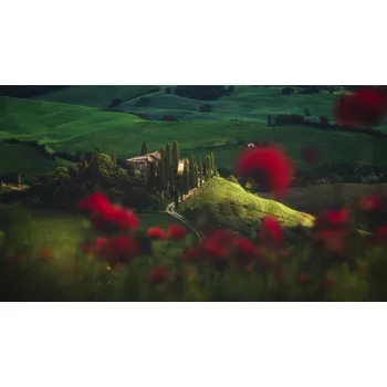 Plakát Plakát, Obraz - Tuscany - Spring Blossoms, Jean Claude Castor