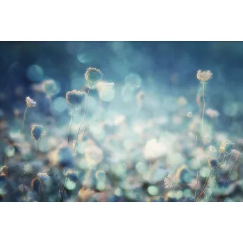 Plakát Plakát, Obraz - Diamonds, Stefan Eisele