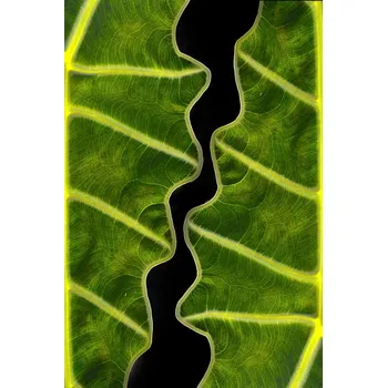 Plakát Plakát, Obraz - Balance, Memensaputra