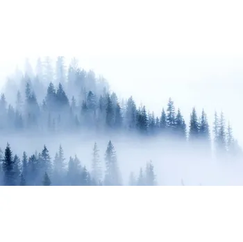 Plakát Plakát, Obraz - treeblue2, Finlay & Noa