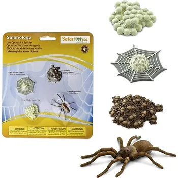 Desková hra Safari Ltd. Životní cyklus – pavouk